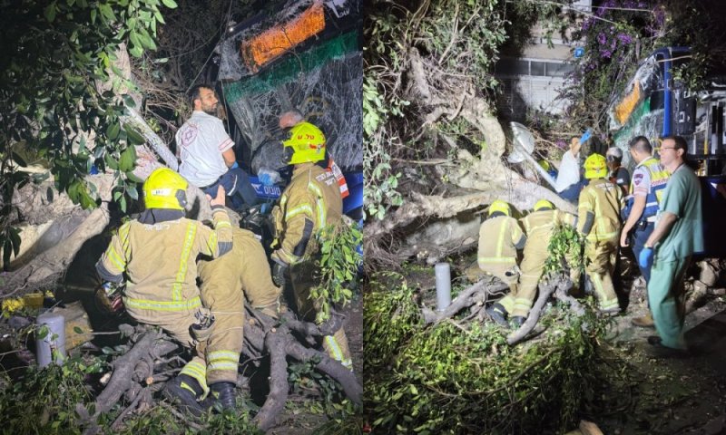 אחרי 4 ימים של מאבק על חייה: הילדה שנפצעה אנושות בתאונת האוטובוס - נפטרה