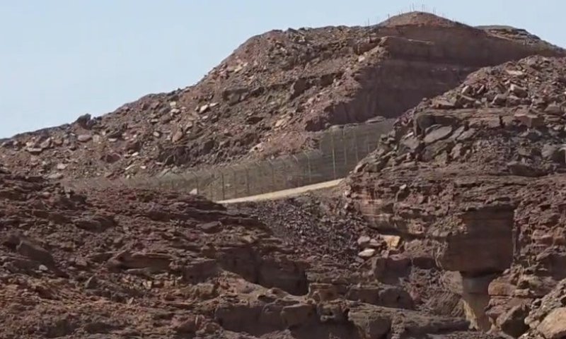 על קו הגבול המצרי: יצחק כרמלי בעקבות אבן היסטורית וצמח נדיר