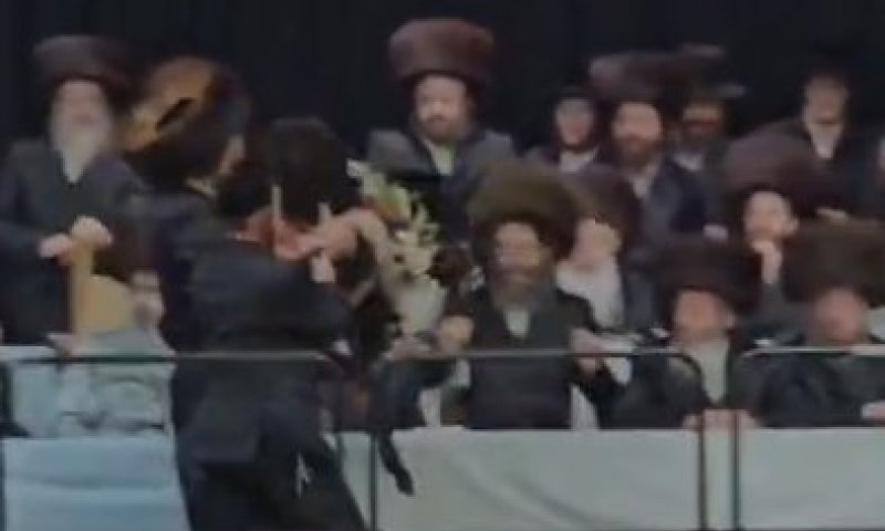 דרמה באמצע השירה: החמור קפץ והבהיל את המשתתפים בלונדון