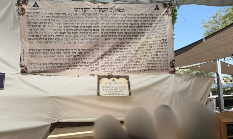 יד לאחים: הניצולות שחולצו מכפרים ערביים נשאו את "תפילת הבנים" בציון השל"ה 