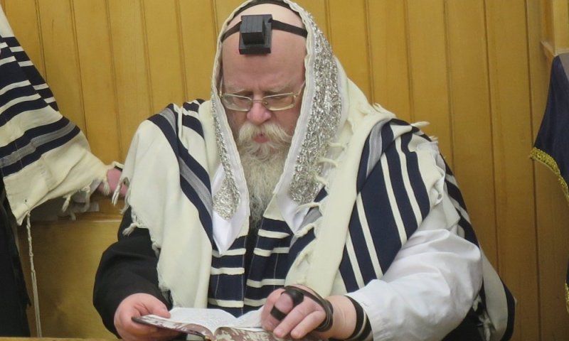 מחשובי בעלזא: הרה"ח ר' יהודה אריה שטראוס ז"ל נפטר בגיל 66