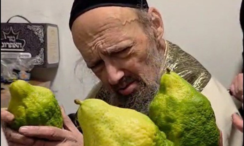 פקיד מכס אנטישמי: ההוראה המפתיעה של הגר"ד קוק