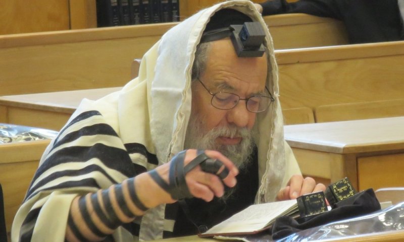 למד בילדותו עם הרבי מבעלזא: הרה"ח ר' מנחם בנימין שמדרה ז"ל