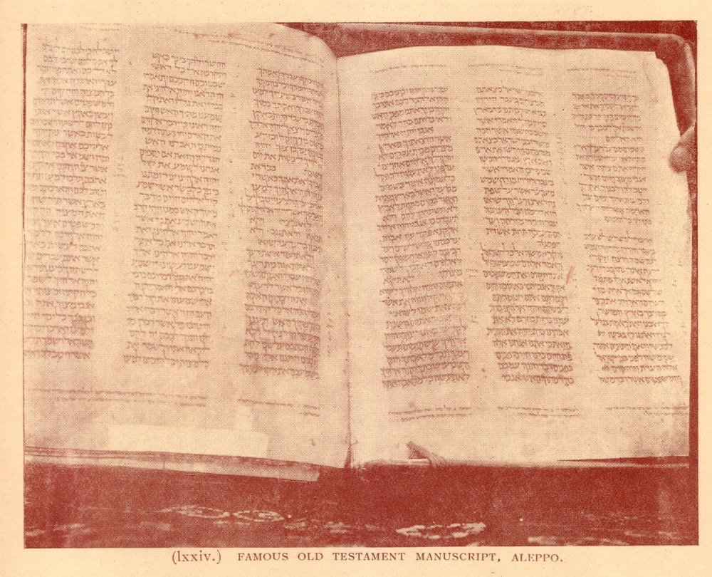ג'ו סגל/Wikimedia Commons