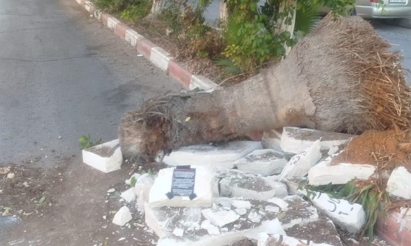 מחקים את צבי סוכות? צה"ל החל במבצע רחב להריסת עשרות אנדרטאות טרור ביו"ש