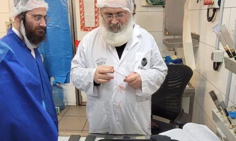 הגר״פ פאדווא יצא לפרגוואי לפיקוח בשחיטה המהודרת של בד"ץ חוג חת"ס פ"ת