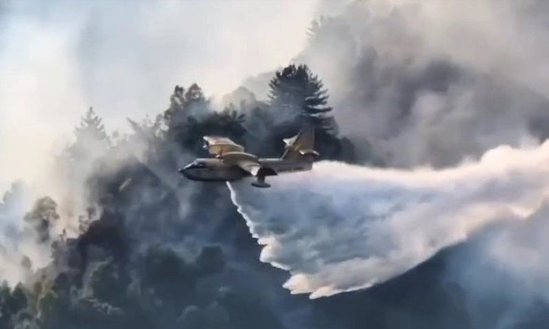 מאמצי כיבוי נרחבים בצפון איטליה: מטוסי כיבוי נאבקים בשריפת ענק