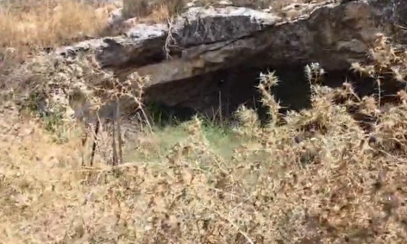 מערה טבעית או בור מים עתיק? הפתח המסתורי בשער הגיא נחשף