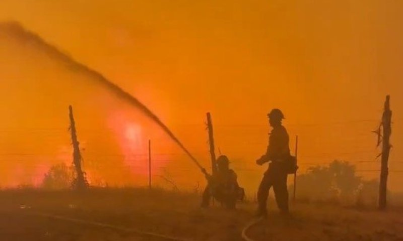 שריפות יער משתוללות בארה"ב: לוחמי האש נאבקים בלהבות