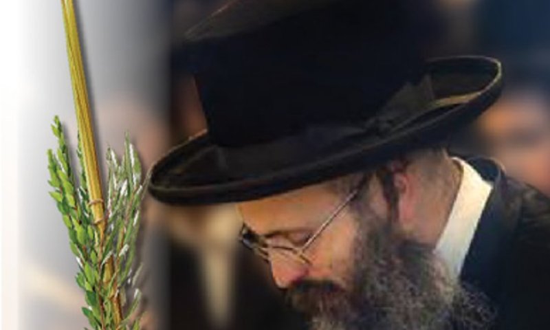 סגולה שמימית שנמסרה למרן ה'בית יוסף' בחיזיון הלילה