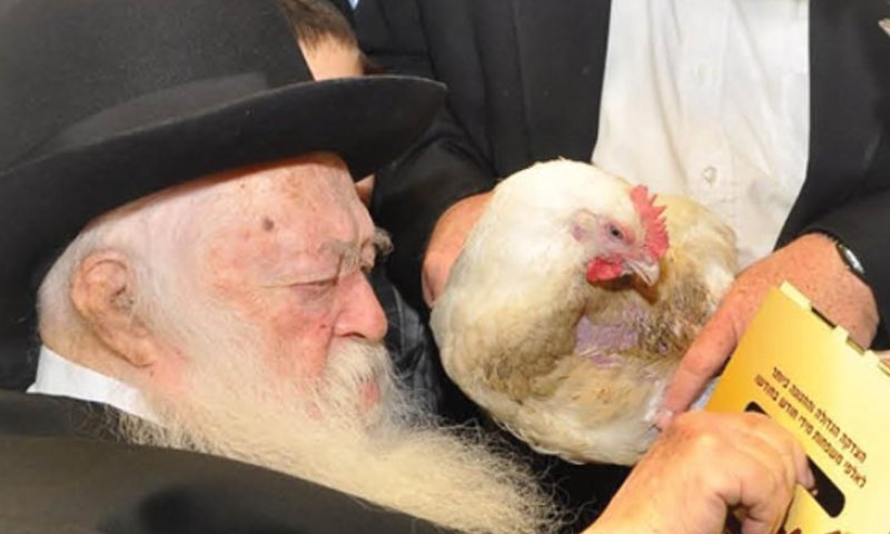 הרגע האחרון: פדיון כפרות כמנהג הגר"ח קניבסקי - צפו