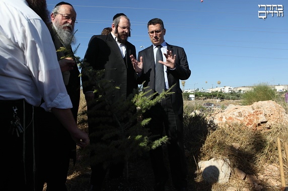 עץ משומש?  סער נוטע