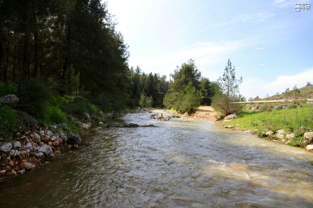 הבטתי בצינור הזה והוא נראה היה 