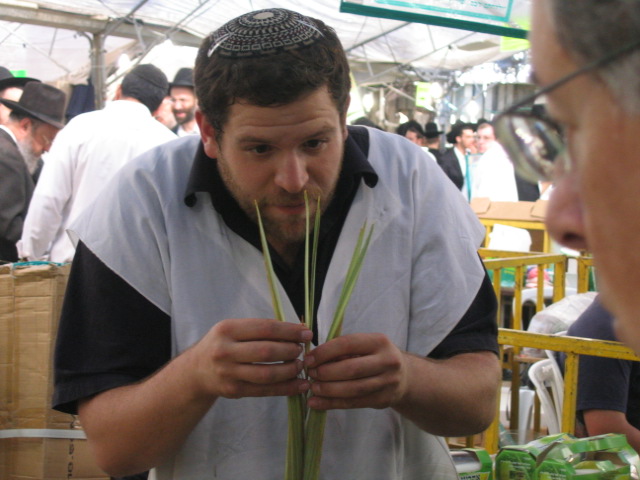 לולבים חזקים וסגורים (ולפעמים גם גנובים)