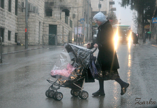 כרחם אם על בנים, ממש באמצע הכביש (צילום: מנח זרקא)