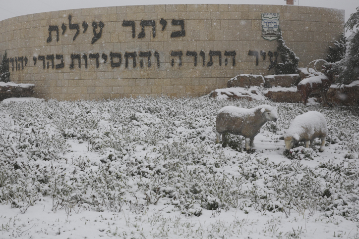 הכניסה לעיר התורה והחסידות בהרי יהודה. צילום: פלאש 90