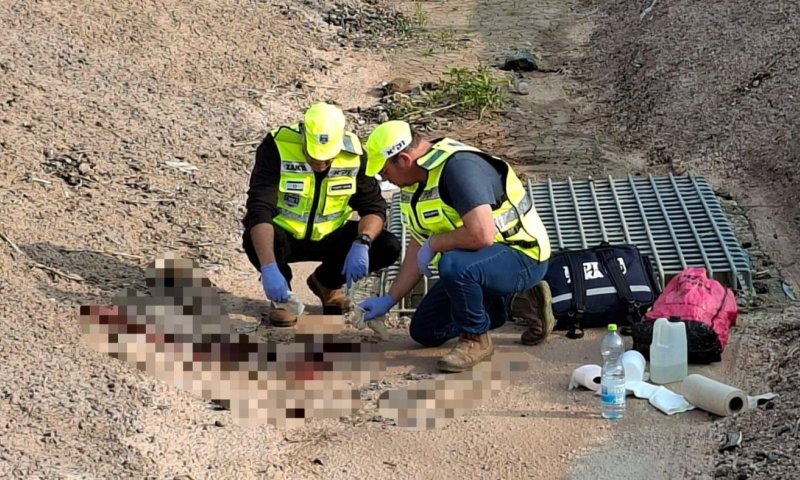 מתנדבי זק"א פעלו בזירות לשמירה על כבוד הנרצחים ולטיפול בממצאים