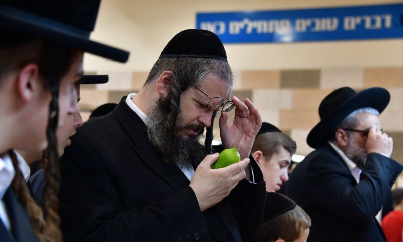 בזמן שעסוקים עם הד' מינים: הזדמנות נדירה לזכות בזיווג הגון