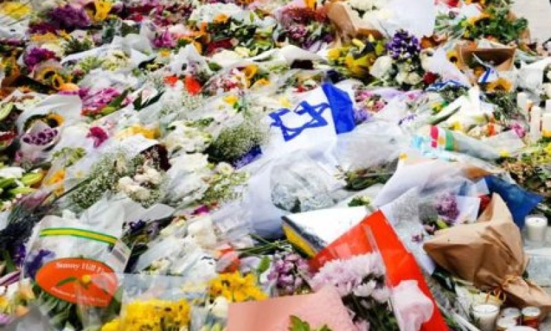 בת 14 מול קליעים: חיה זינקה על הילדים של האישה שנרצחה - והצילה את חייהם