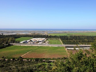 יח"צ