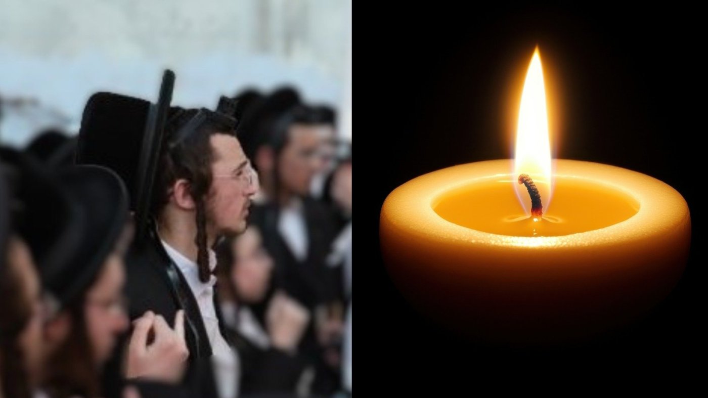 דוד כהן