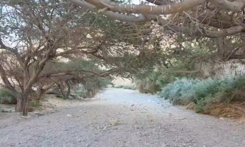 כרמלי ממשיך לטייל בנחל זוהר &ndash; זו ההמלצה שלו למטיילים