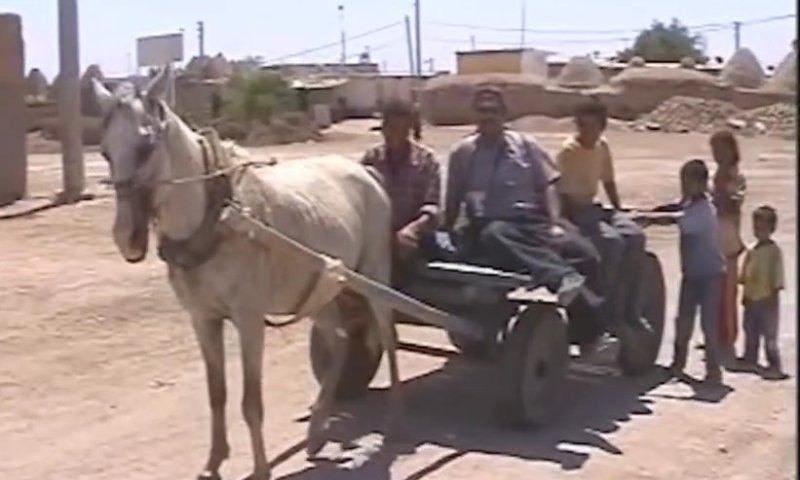 ביקור בחרן: יצחק כרמלי מתעד את צאצאי ישמעאל 