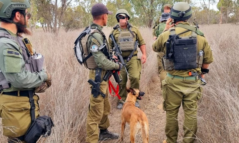 הכלבים שמצילים חיים: כך תוכלו לחזק את יחידת הכלבנים שפועלת יום ולילה לאיתור נעדרים בישראל