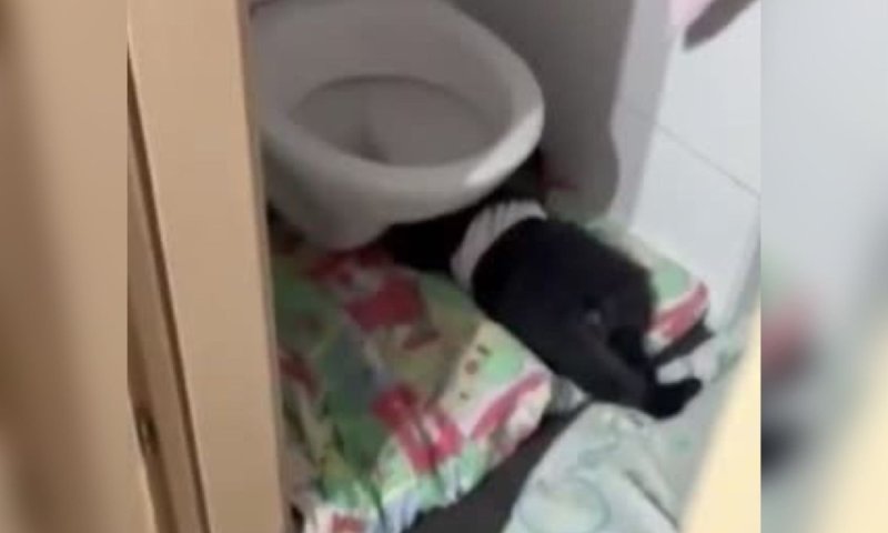 פרטים חדשים על האסון: תינוקות ישנו בארונות ובשירותים תחת חום קיצוני