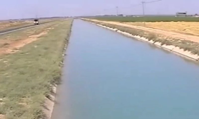 צפו: כך הפך אחד האזורים הצחיחים במזה"ת לשטח פורח