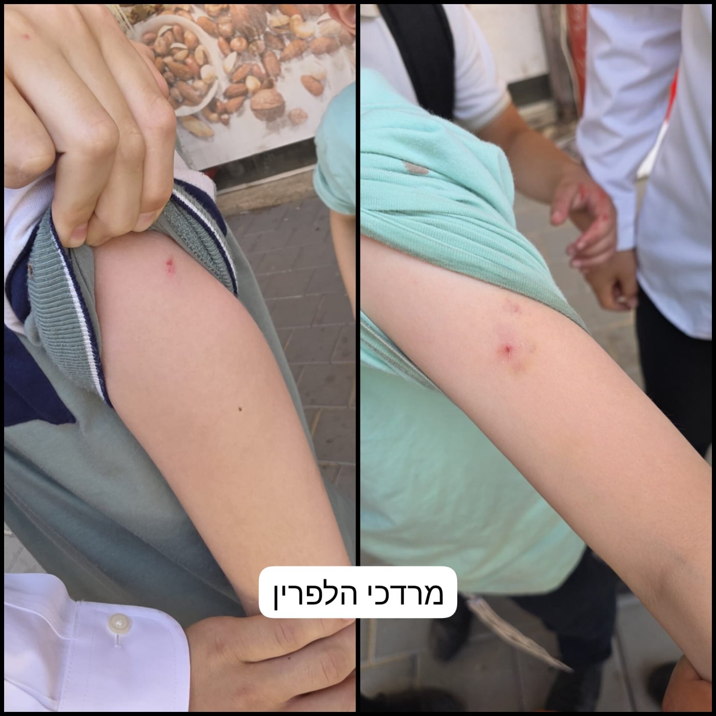 דוד קשת, מרדכי הלפרין