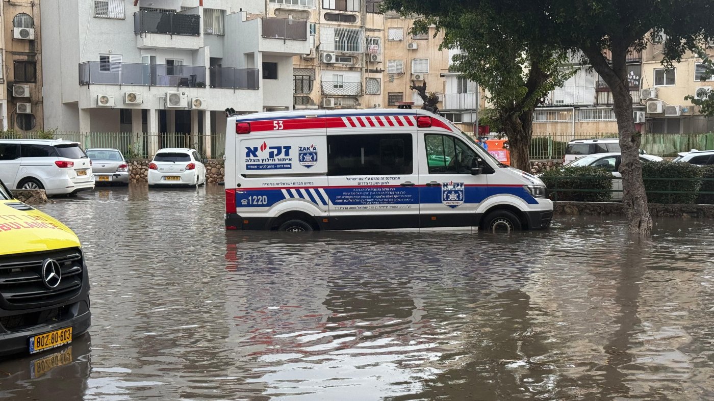 דןברות זק"א 