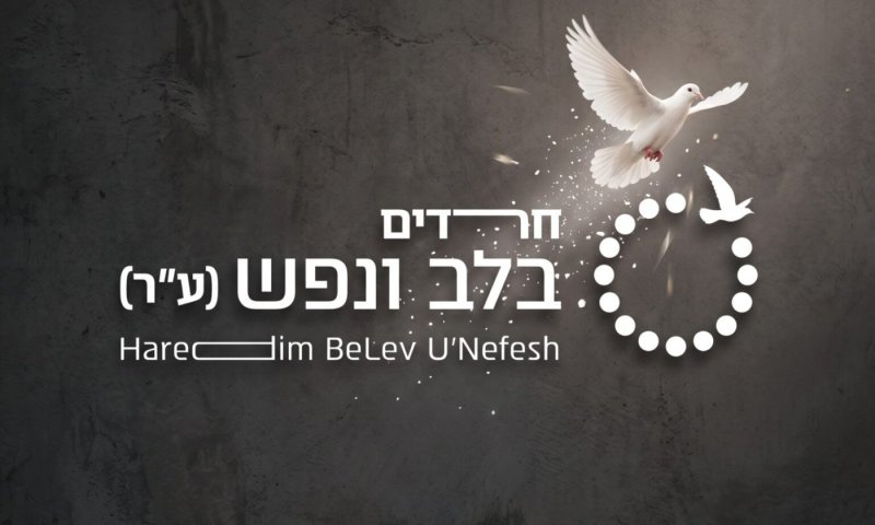 מקצועי, דיסקרטי ועצמאי: מאגר המטפלים החדש מבית "חרדים בלב ונפש"