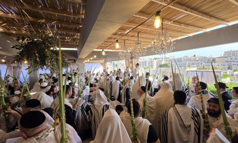 סוכת הינוקא פורקה ע"י הפקחים: "שברו הכל - למרות האישורים"