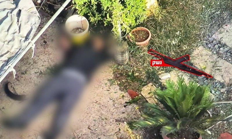 בסמוך לכוחות: חוסלו שני מחבלי חיזבאללה חמושים