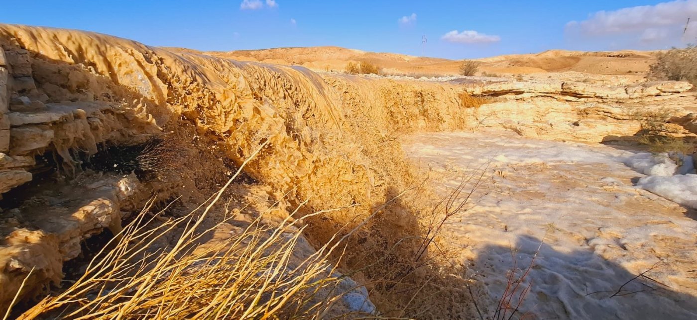  עמרם צברי רשות הטבע והגנים