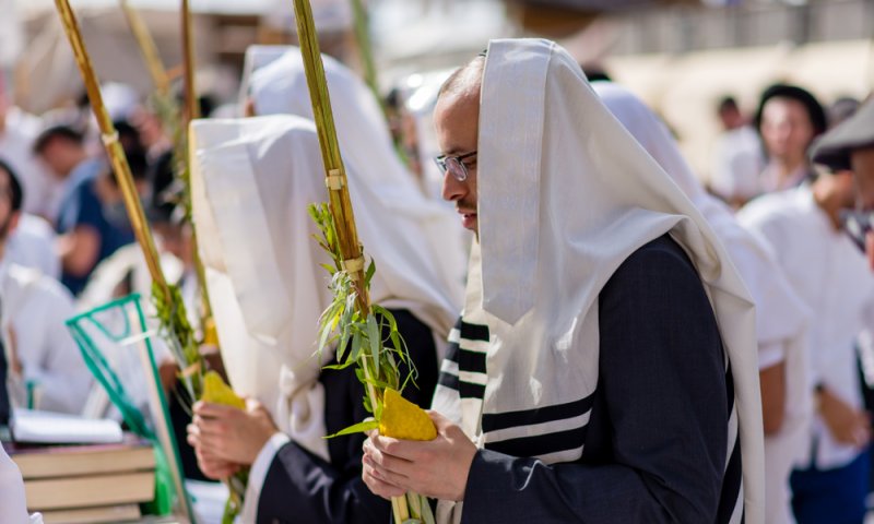 "אני לא מבין סגולות, רק מציאות - ובמציאות אני נושעתי" &bull; סיפור מפעים