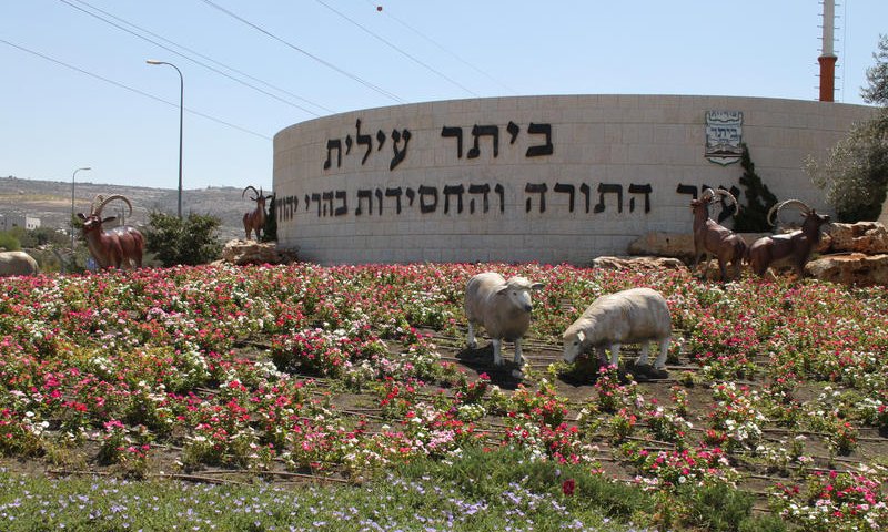 זהו "מקלט הנדל"ן" החדש של המשפחות החרדיות שמאסו בצפיפות של המרכז