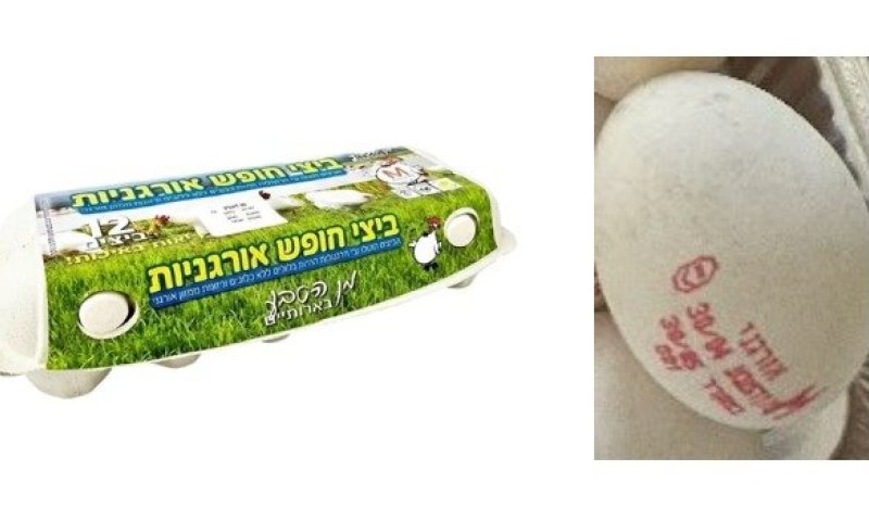 החברה מזהירה: עובש בחלקה הפנימי של הביצה בצמוד לקליפה