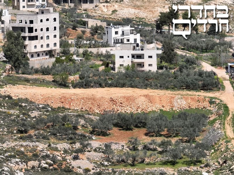 תנועת 