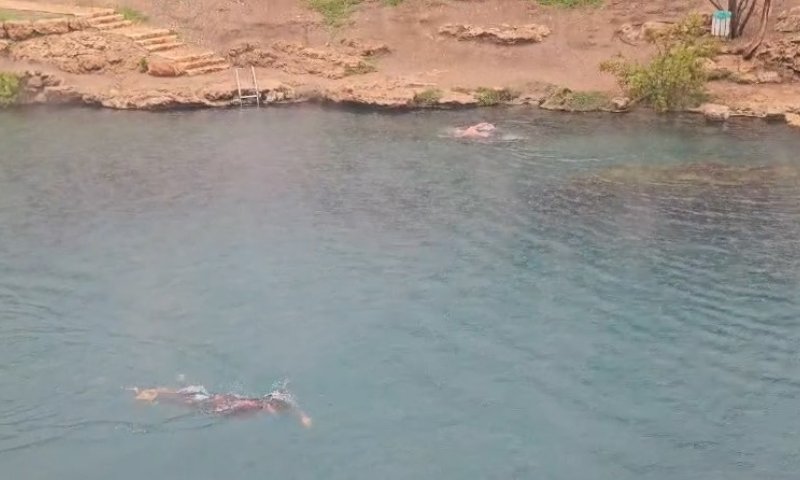 גם בסופה: האנשים שלא מוותרים על שחיית בוקר בגן השלושה  