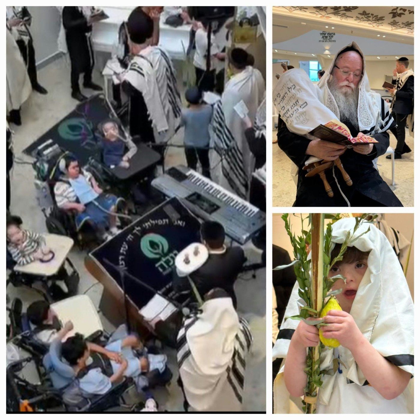 יח"צ