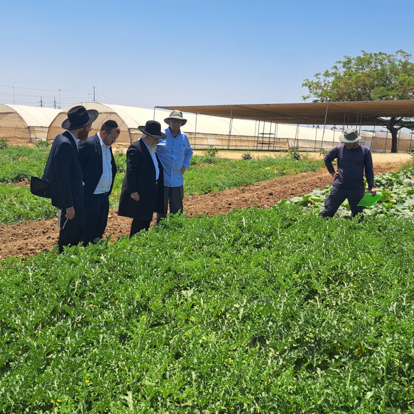 באדיבות המצלם