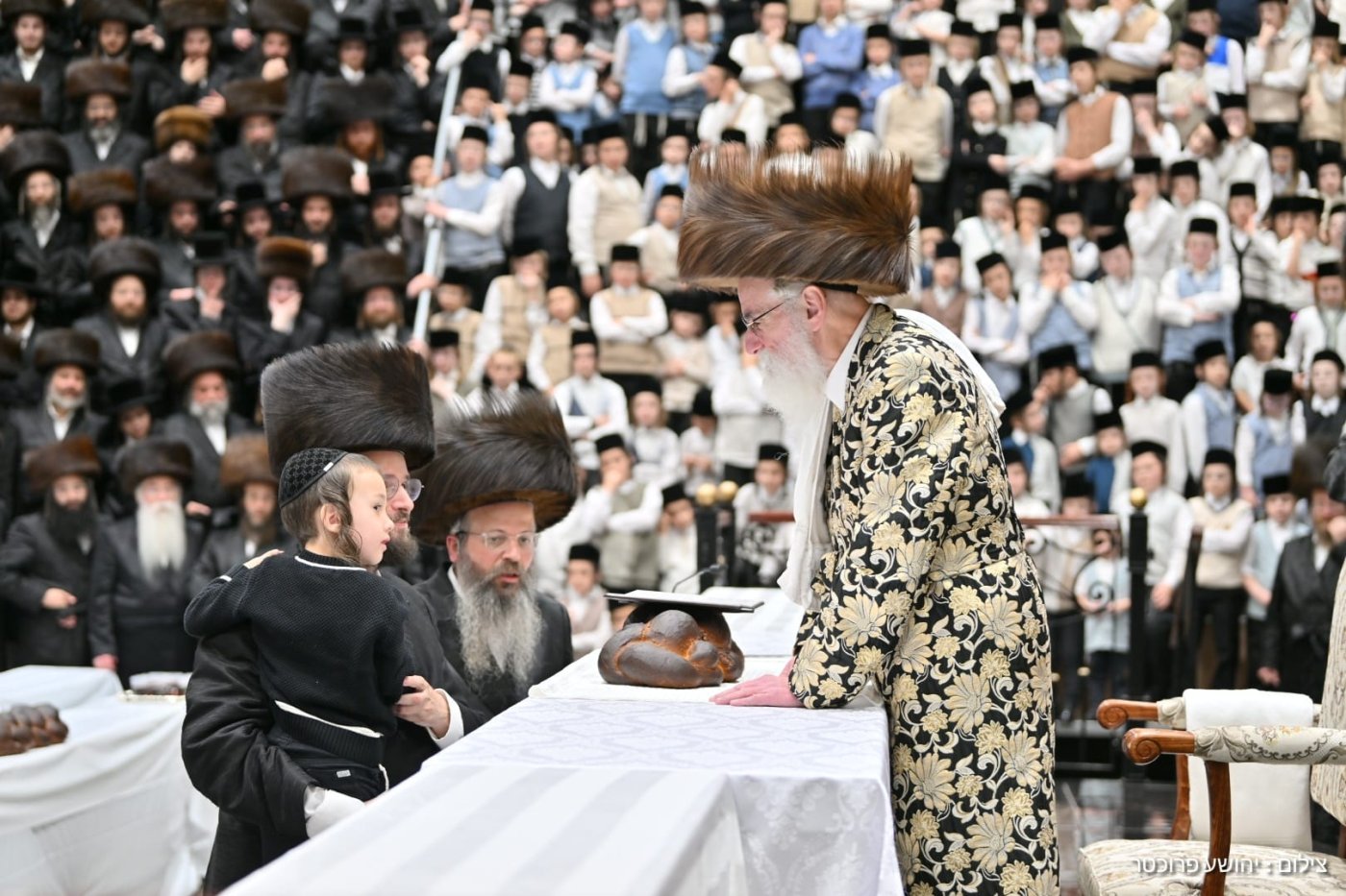 יהושע פרוכטר