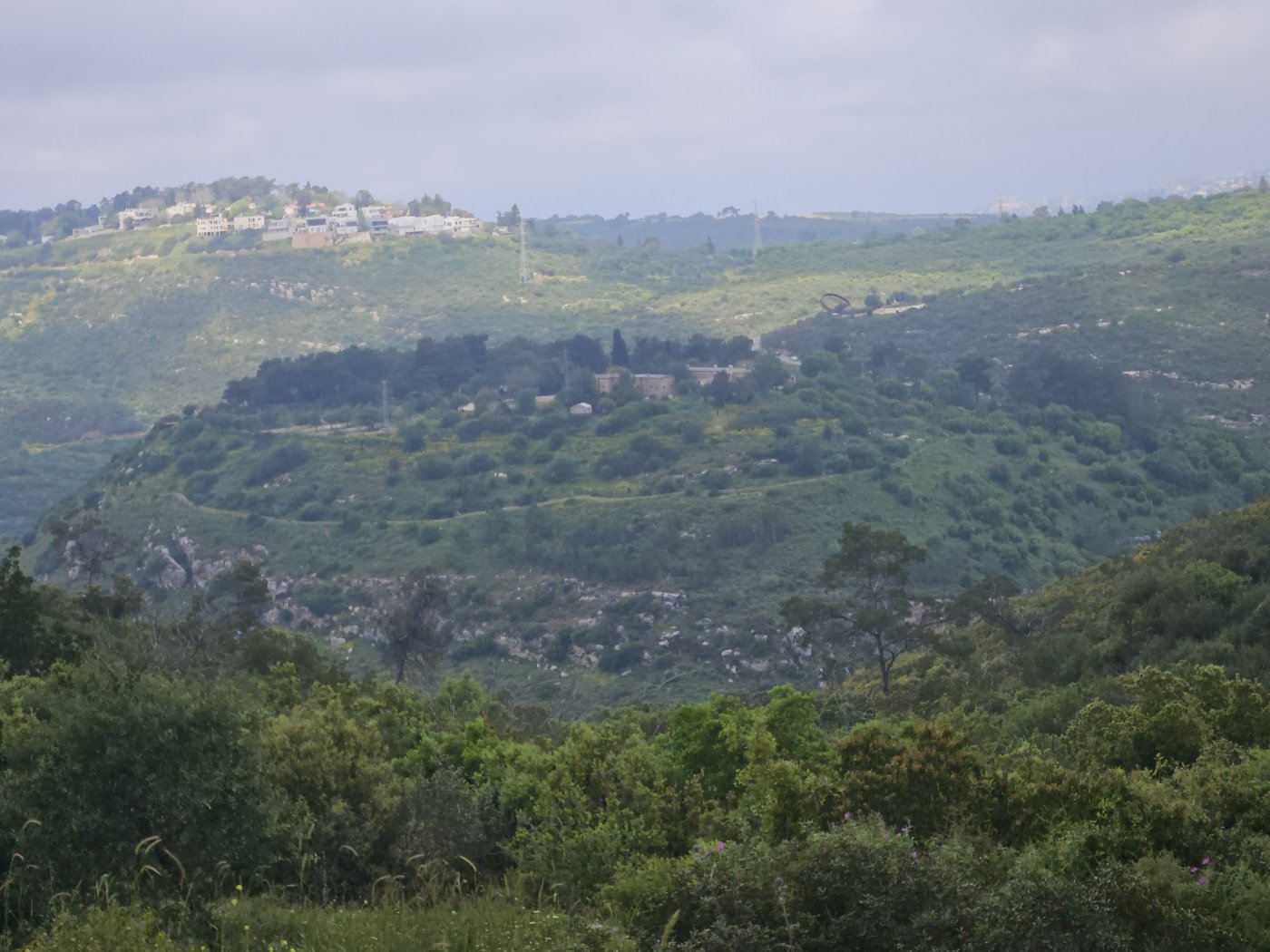 ניר דיסטלפלד, רשות העתיקות