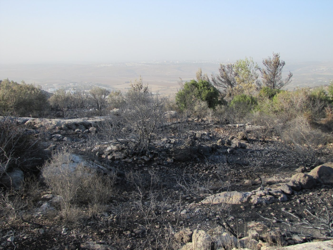 יניב כהן, רט"ג