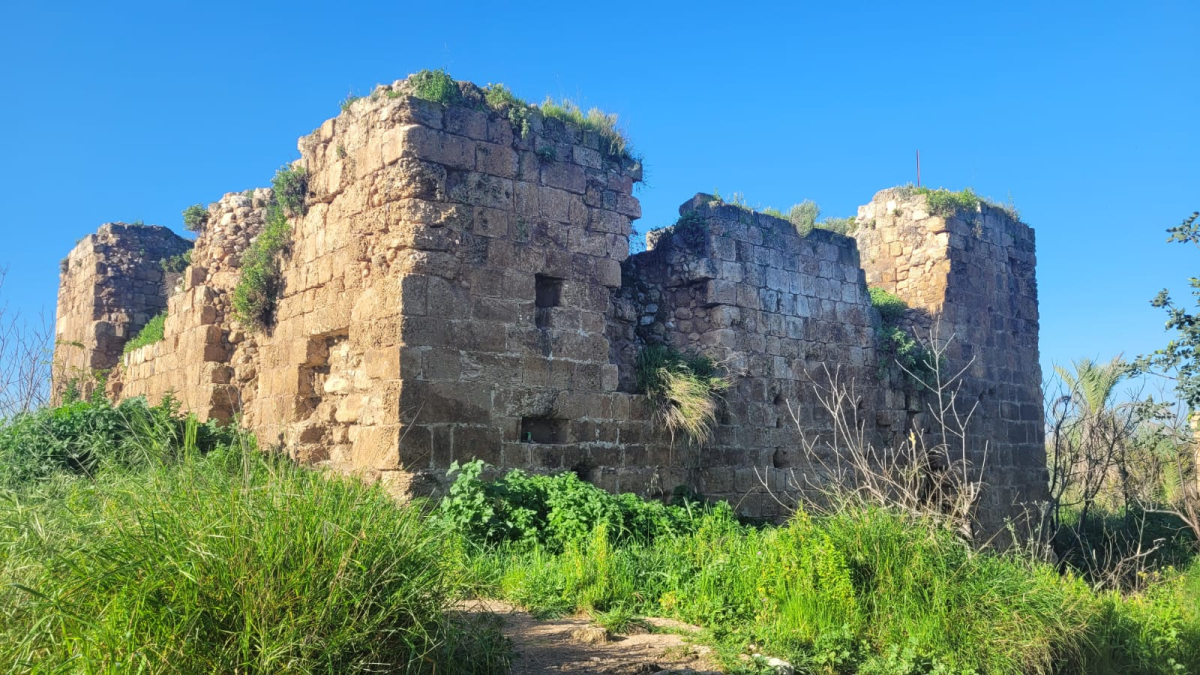 אורית בורטניק, רט"ג