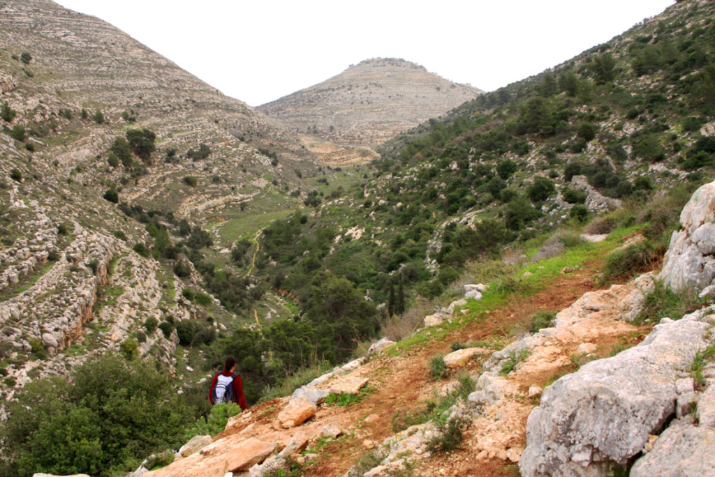 יעקב שקולניק