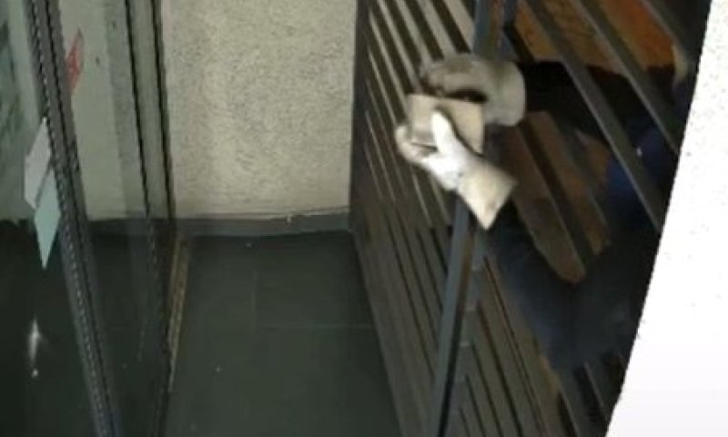 רעול פנים ניפץ הלילה את דלת הכניסה למערכת "הארץ" | צפו