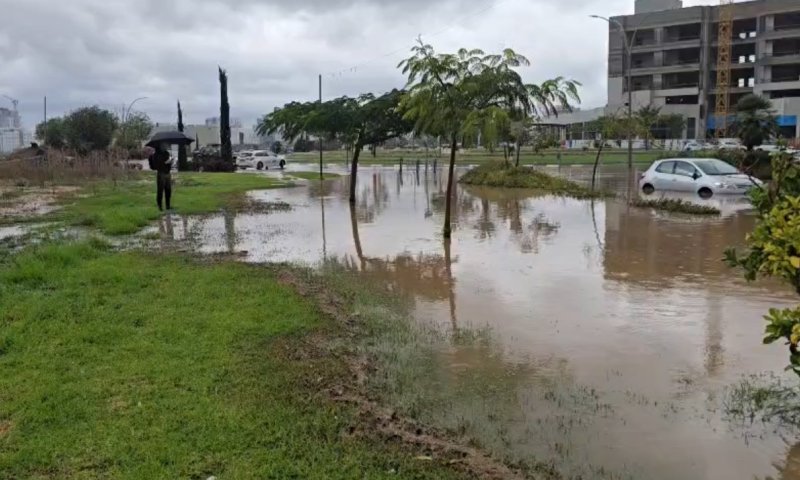 נזקי סופת ביירון: עץ קרס בחצר בית ספר, שתי תלמידות נפצעו